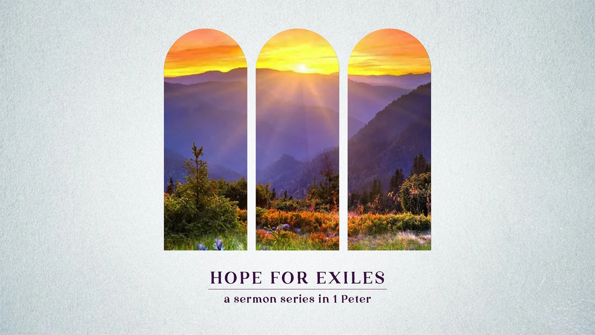 1 Peter 2:4-10 Rejected by others, Claimed by God