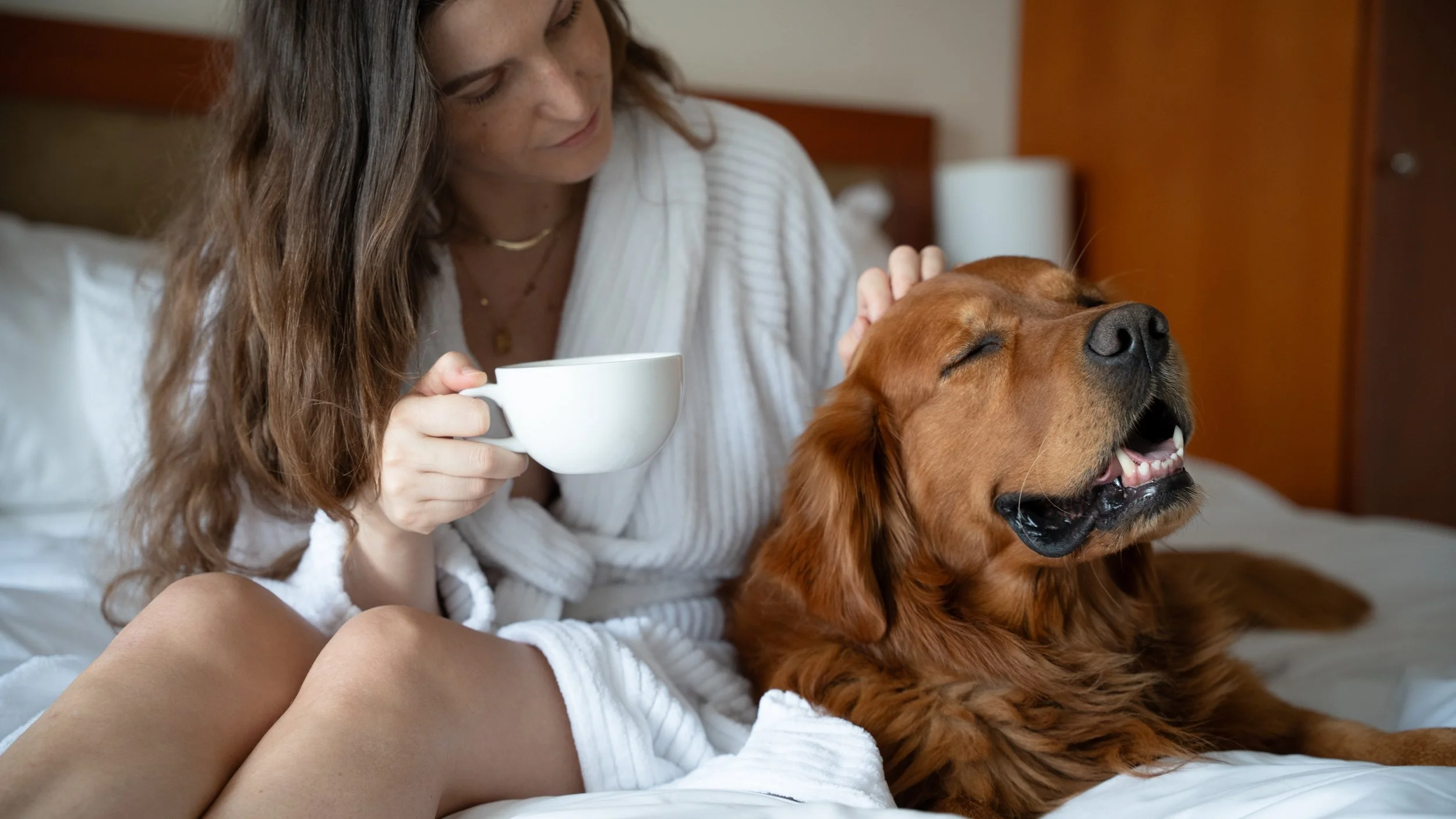 Pan Pacific Whistler Village Centre Raises the Bar for Pet-Friendly Travel&nbsp;With the Elevated Pampered Paws Package