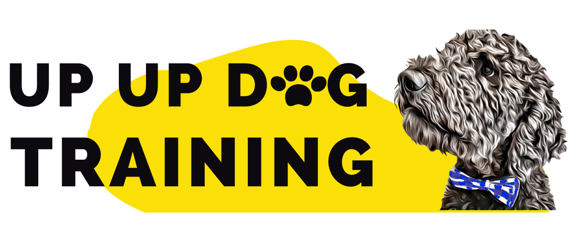 Up Up Dog Training Dog Training and Puppy Training in Calgary