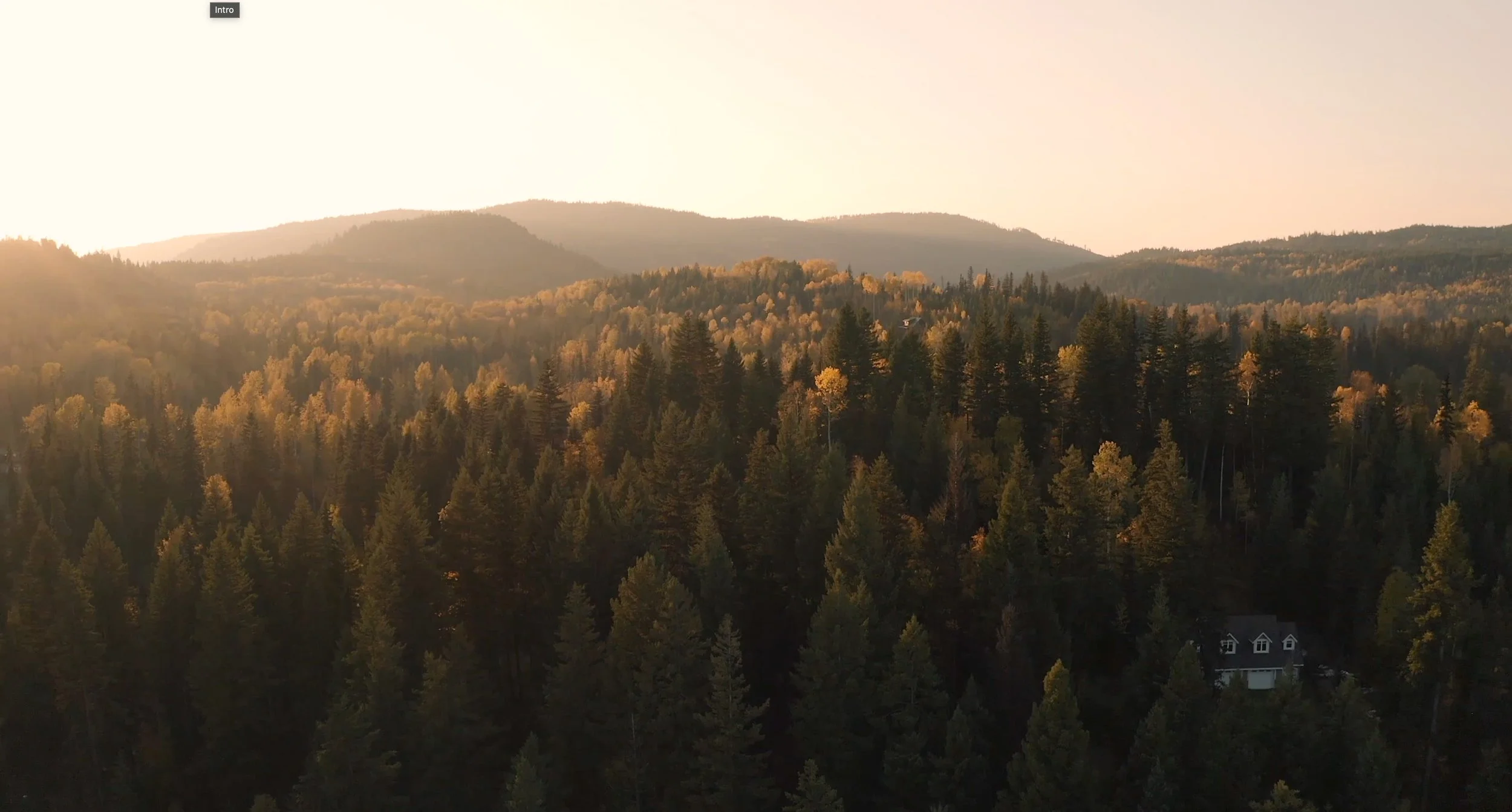 Sallee Duntin Realtor.JPG