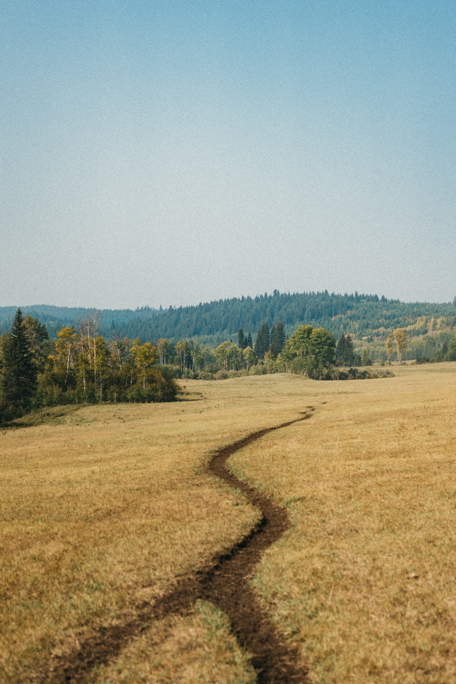 Tsq̓éscen̓ First Nation - 40.jpg