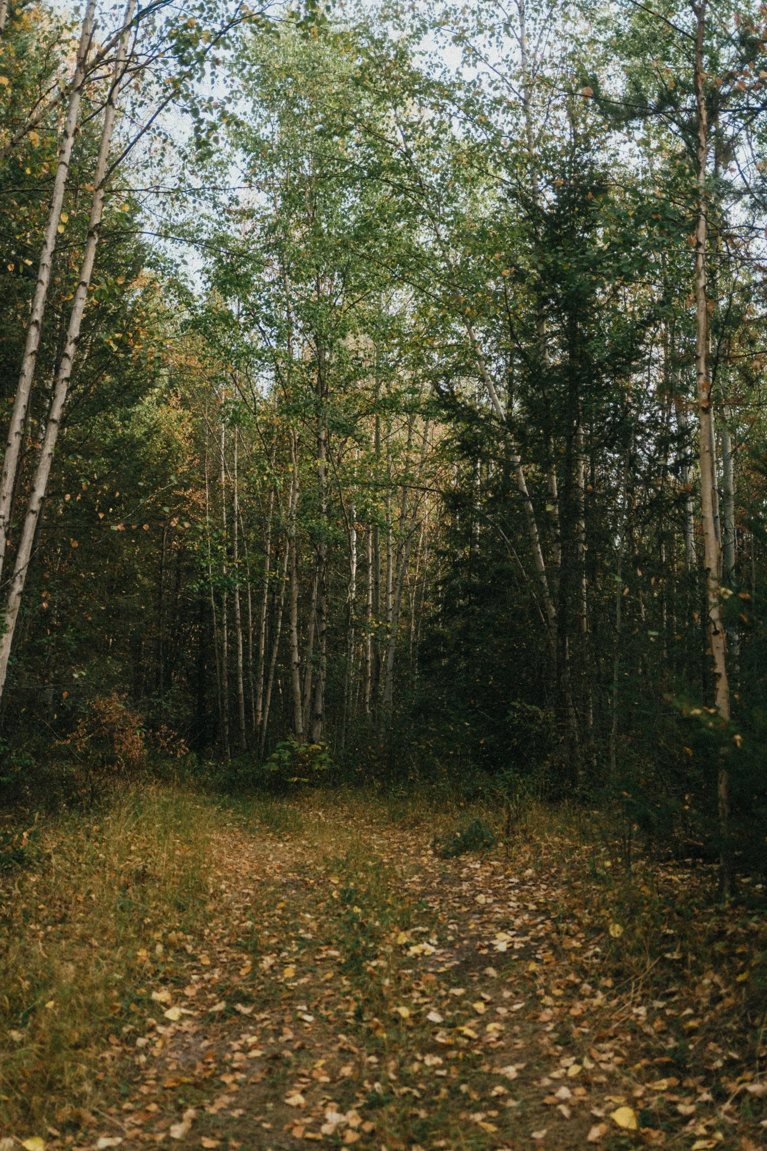 Tsq̓éscen̓ First Nation - 45.jpg