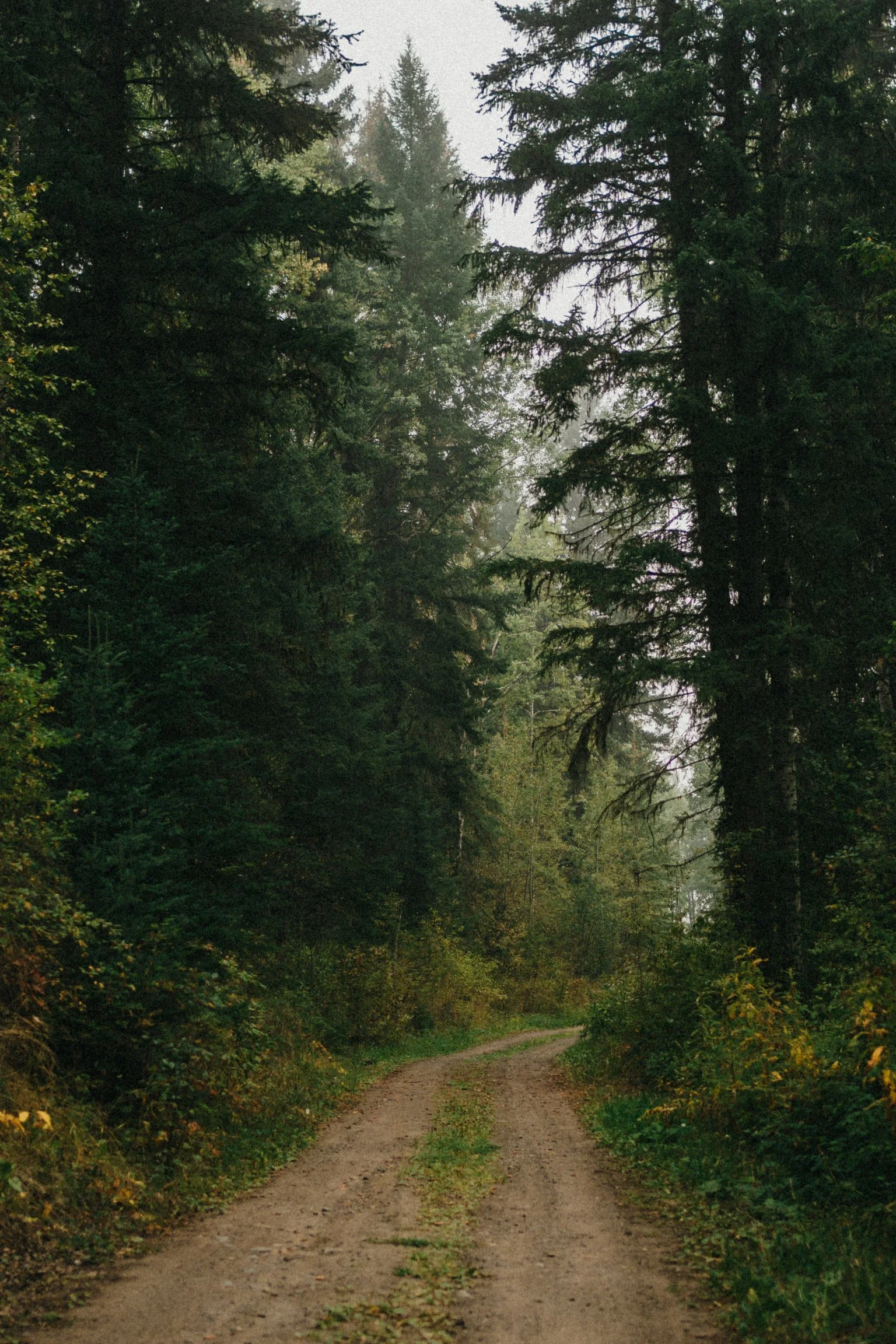 Tsq̓éscen̓ First Nation - 42.jpg