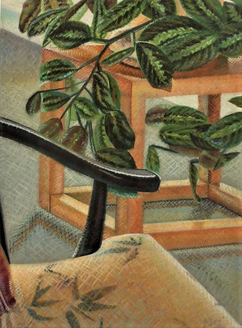 : Oil pastel study of a prayer plant with patterned leaves spreading outward, depicted in a quiet indoor space with close observational realism.