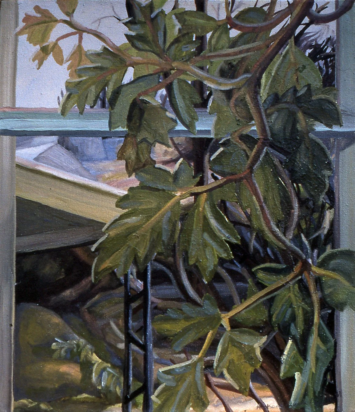 An ivy vine reaches downward from the top and in front of a window frame. The roof edge of a porch and awning stand outside of the window with the rooves of houses in the distance. Ivy and Outdoors 1980