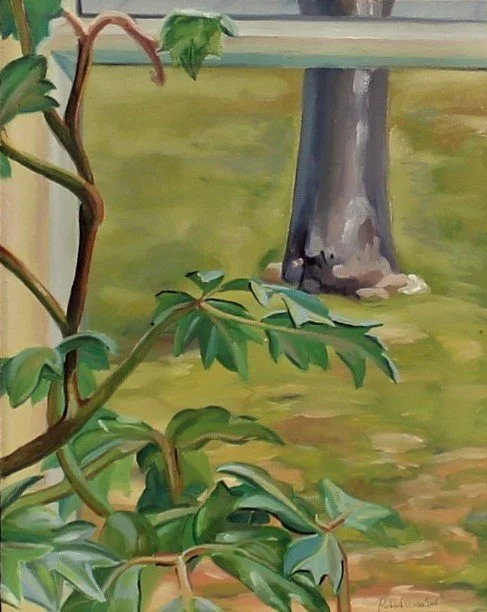 A view out a window through the ivy leaves inside that protrude from the left and the window frame above. The truck of a tree sits in the grassy green space outside. Ivy and Window 1981