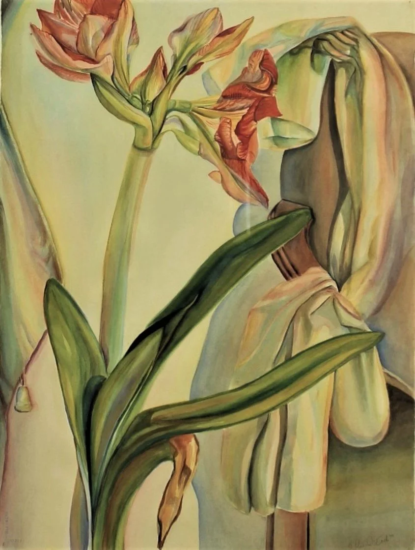 Watercolor painting of an amaryllis plant beside a wooden chair, exploring the interaction between botanical form and surrounding furniture.
