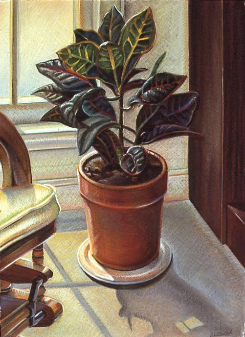 art-croton-plant-richard-l-tuck.jpg