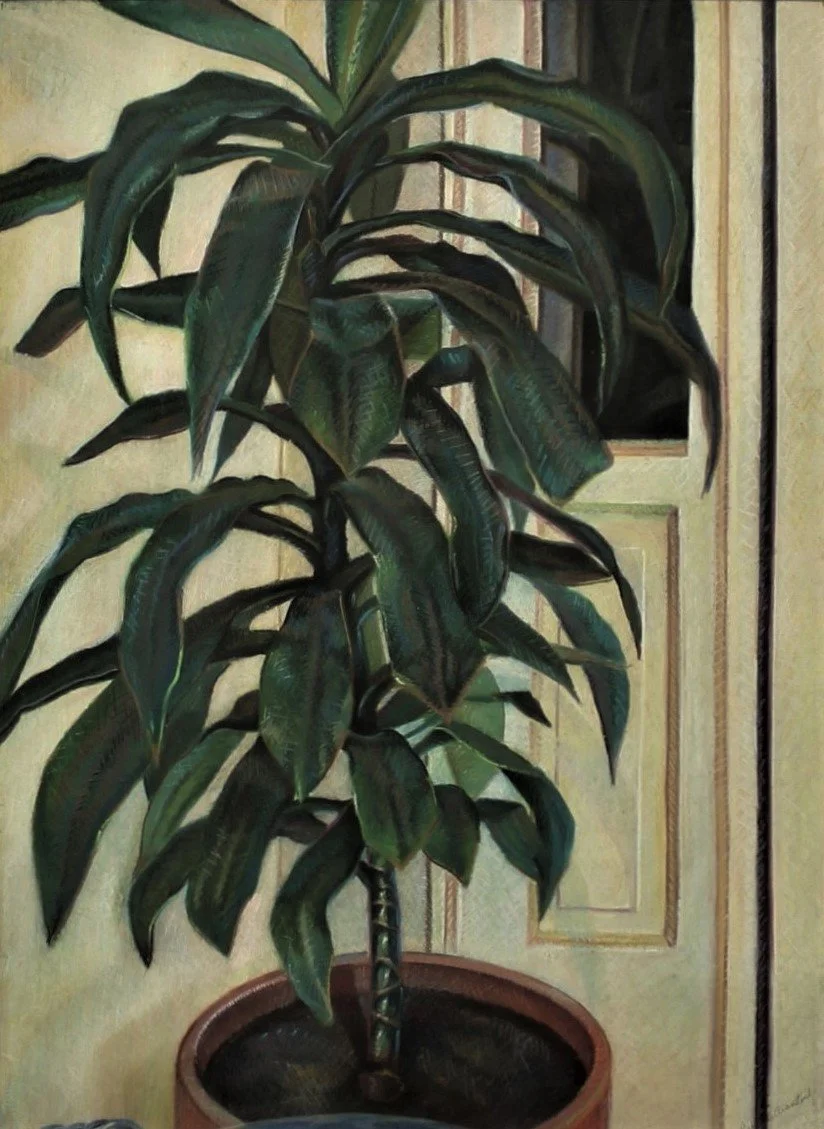 Oil pastel rendering of a corn plant with long arching leaves, capturing the plant’s sculptural presence against a softly lit interior.