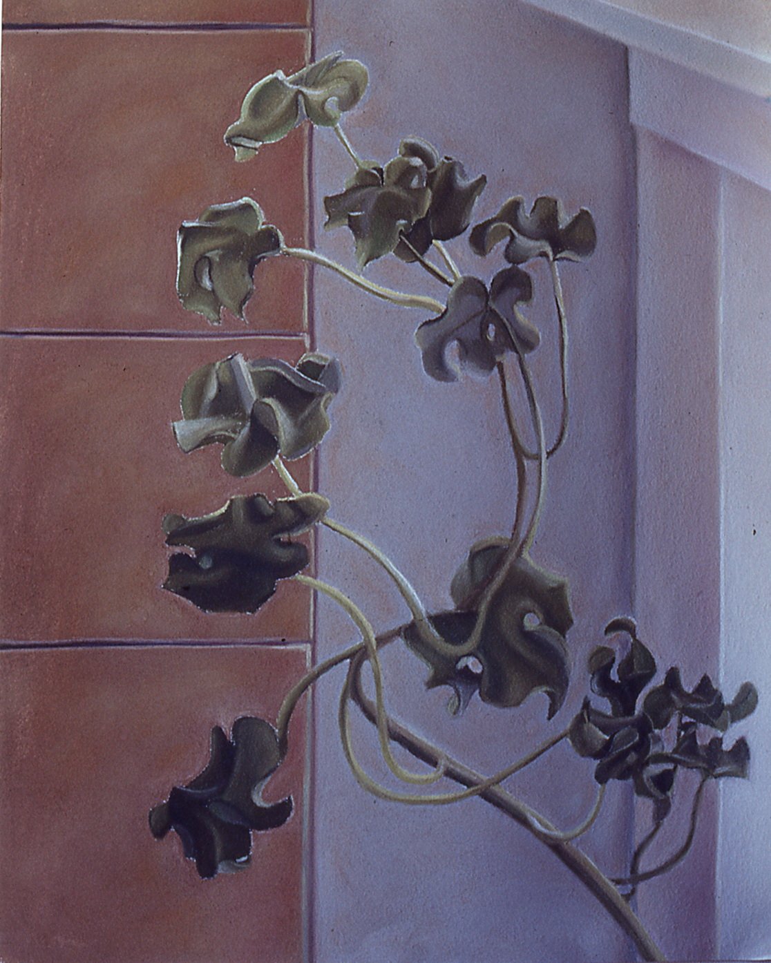 Ivy and Drawers (1979)