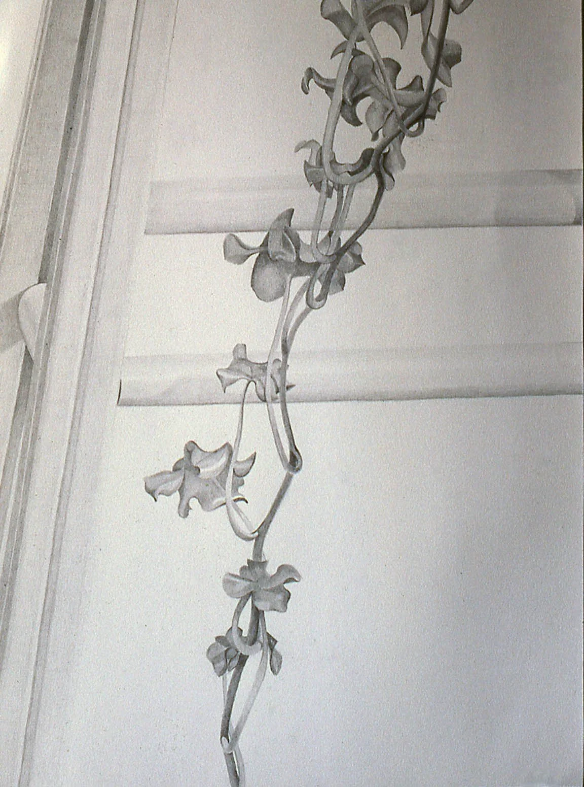 Ivy and Stool (1978)
