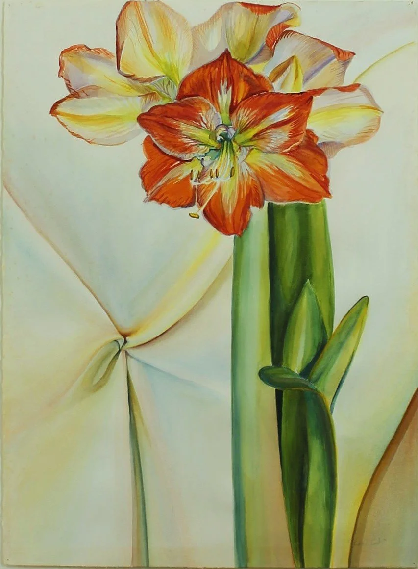 Close up watercolor study of amaryllis petals, focusing on folded shapes, subtle color transitions, and the intimate structure of the flower.