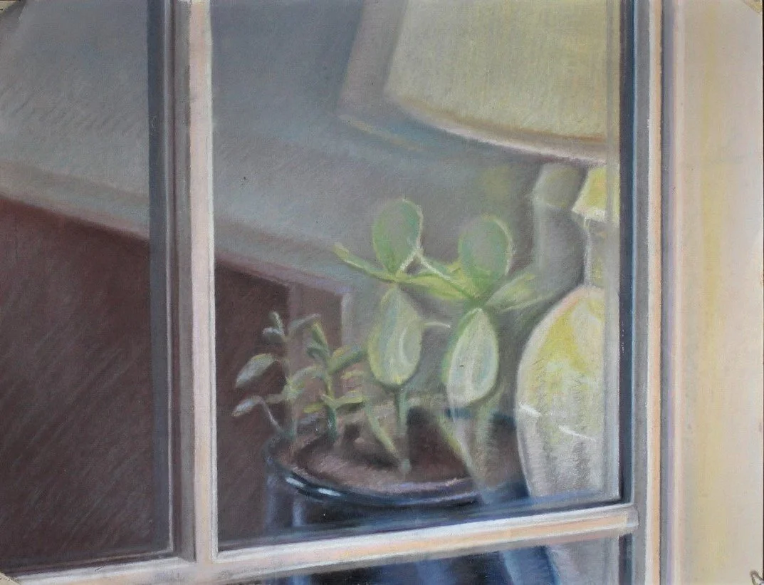 Plant Through Window (1987)