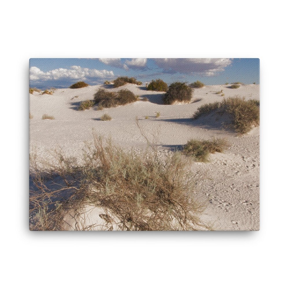 canvas-(in)-18x24-wall-639683b9c7ff7.jpg