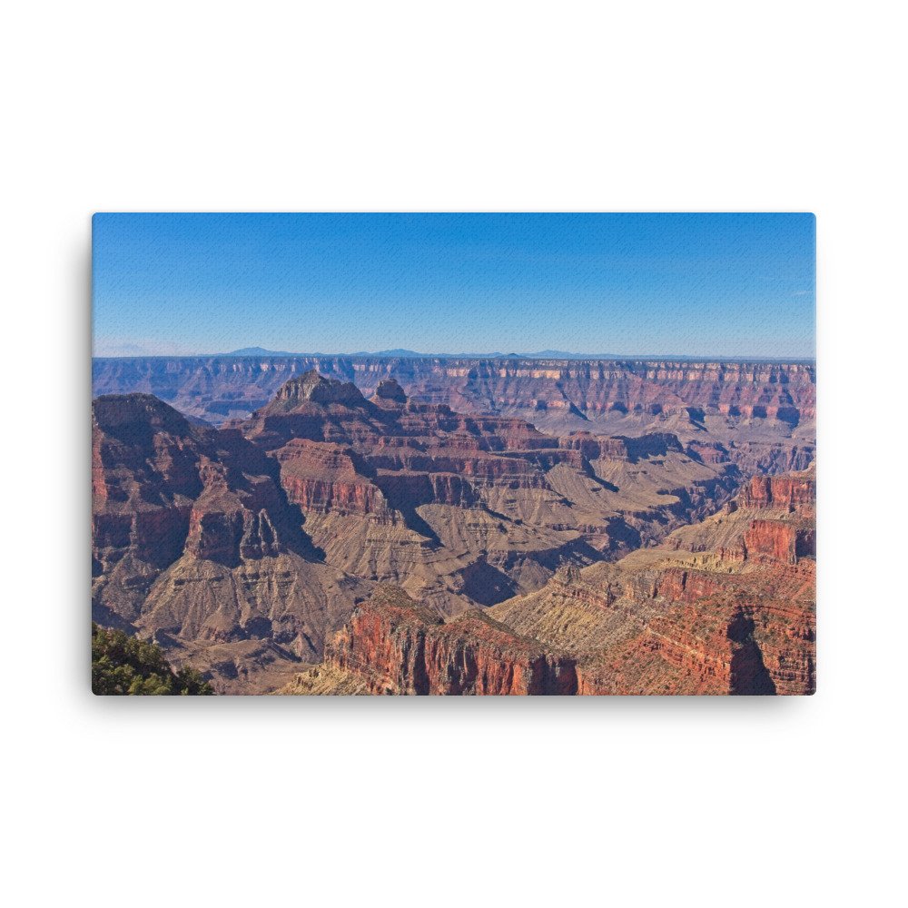 canvas-(in)-24x36-wall-63968dee2b3d7.jpg