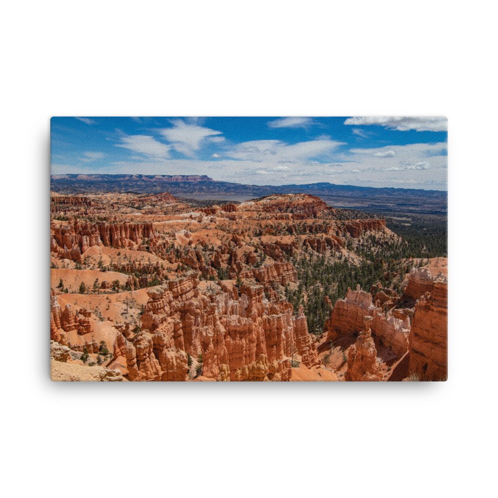 canvas-(in)-24x36-wall-6397929d840ec.jpg