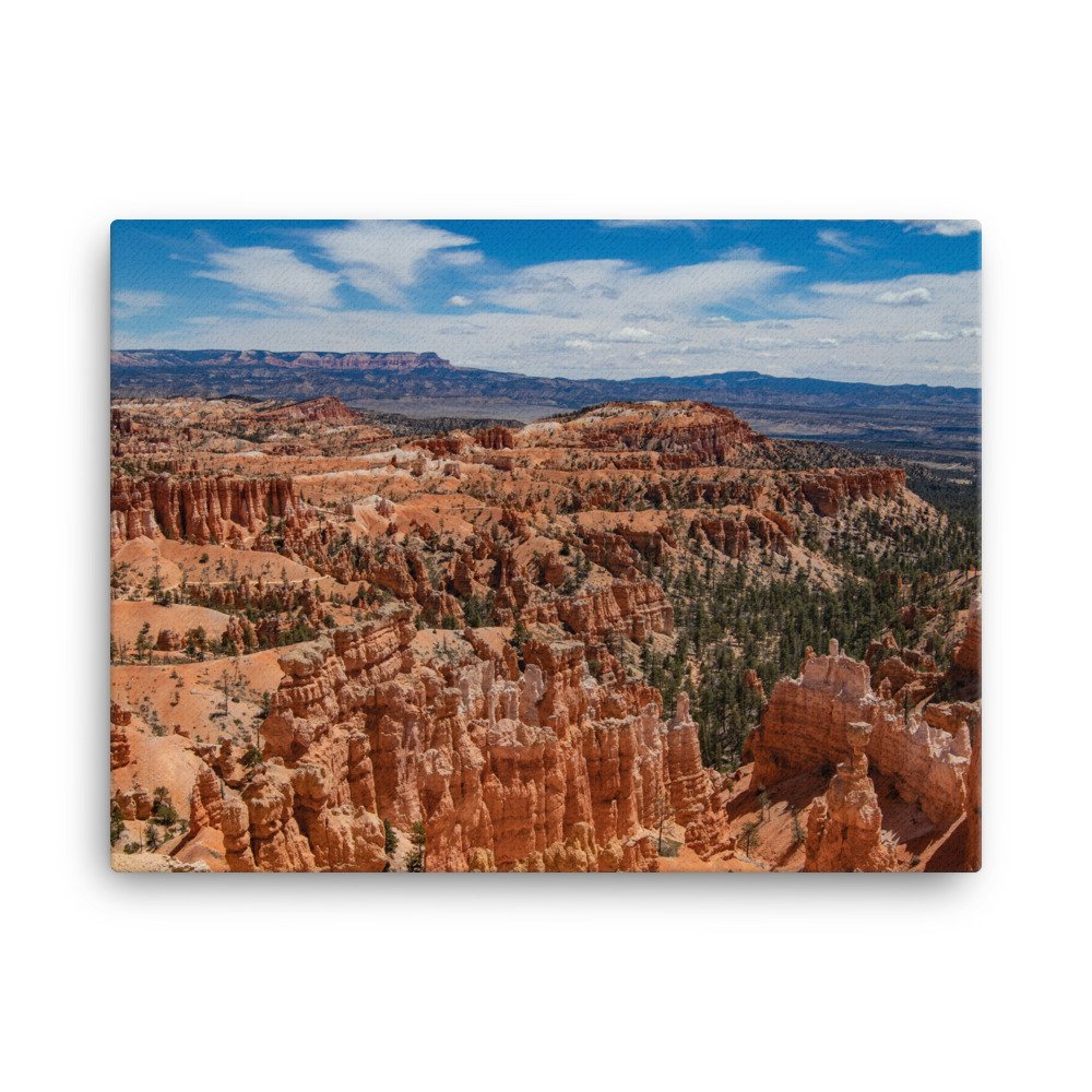 canvas-(in)-18x24-wall-6397929d849e8.jpg