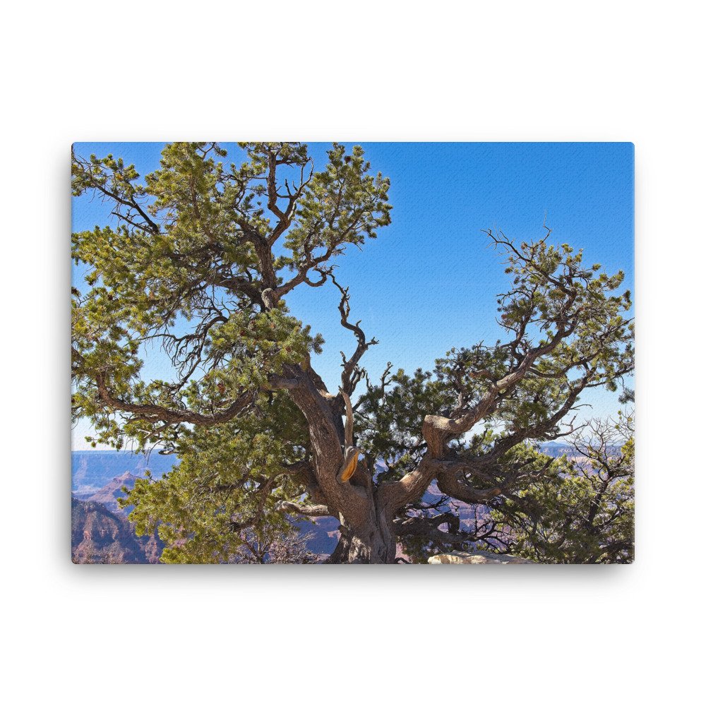 canvas-(in)-18x24-wall-63979b4c1549d.jpg