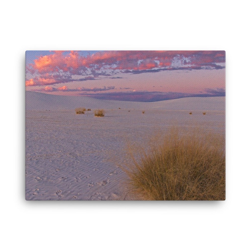 canvas-(in)-18x24-wall-63979ed282a25.jpg
