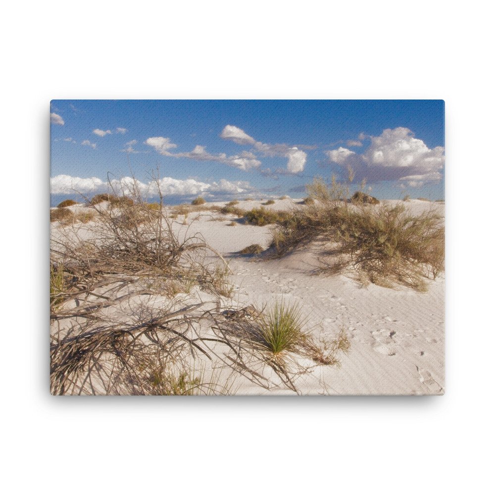 canvas-(in)-18x24-wall-6397a079139bb.jpg