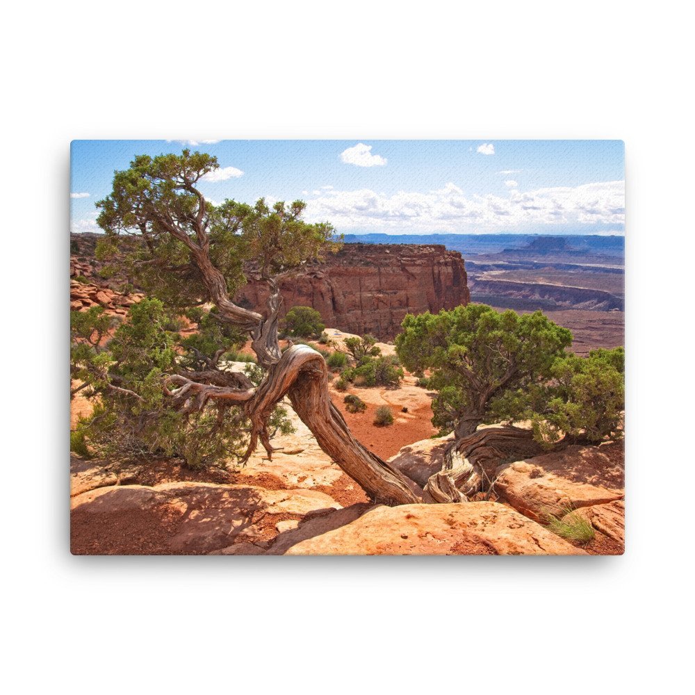 canvas-(in)-18x24-wall-6397a420a6c96.jpg