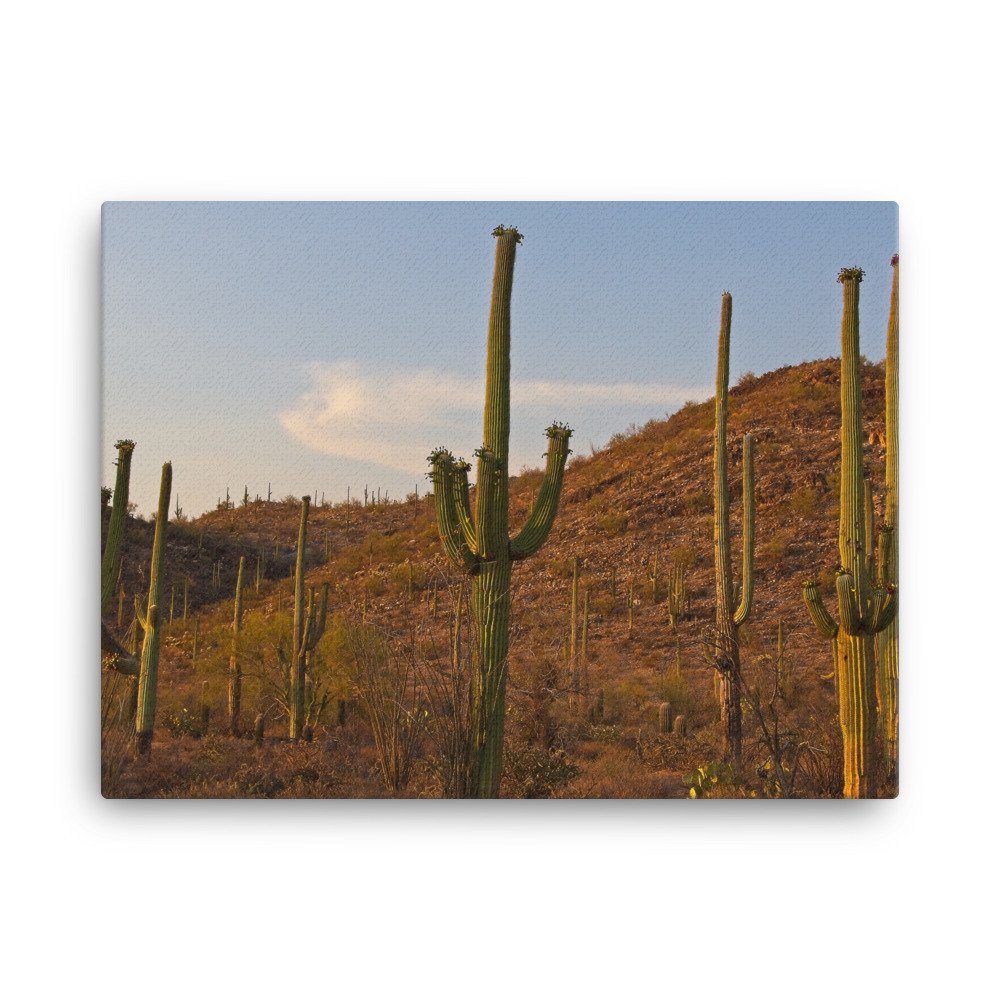 canvas-(in)-18x24-wall-6397aab4bd6b0.jpg