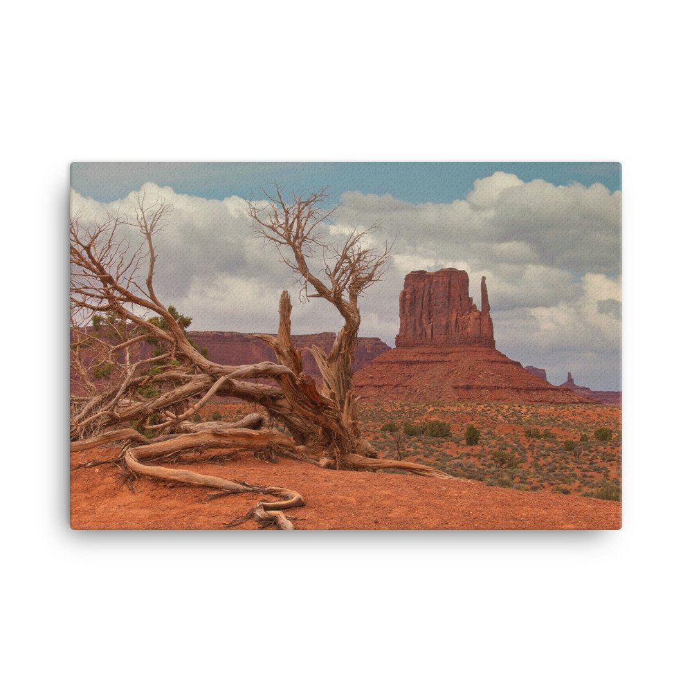 canvas-(in)-24x36-wall-6397b56979579.jpg