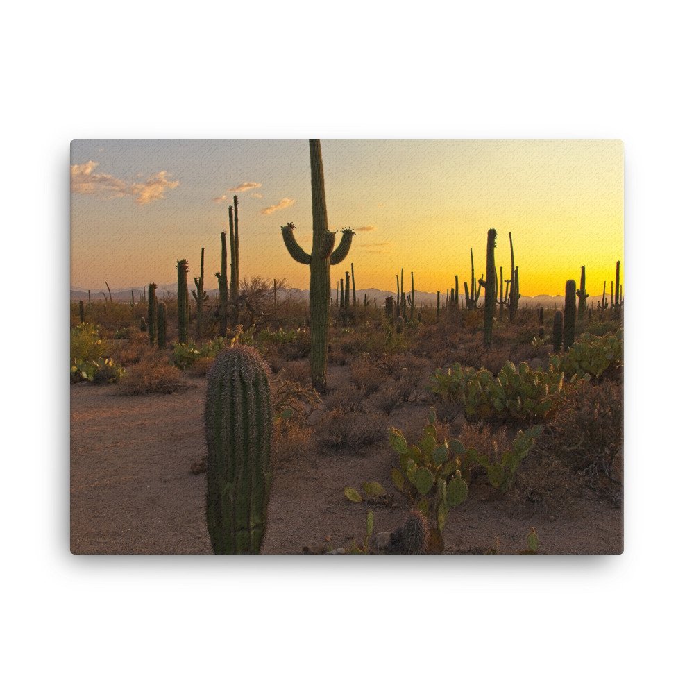 canvas-(in)-18x24-wall-6397b75e28464.jpg
