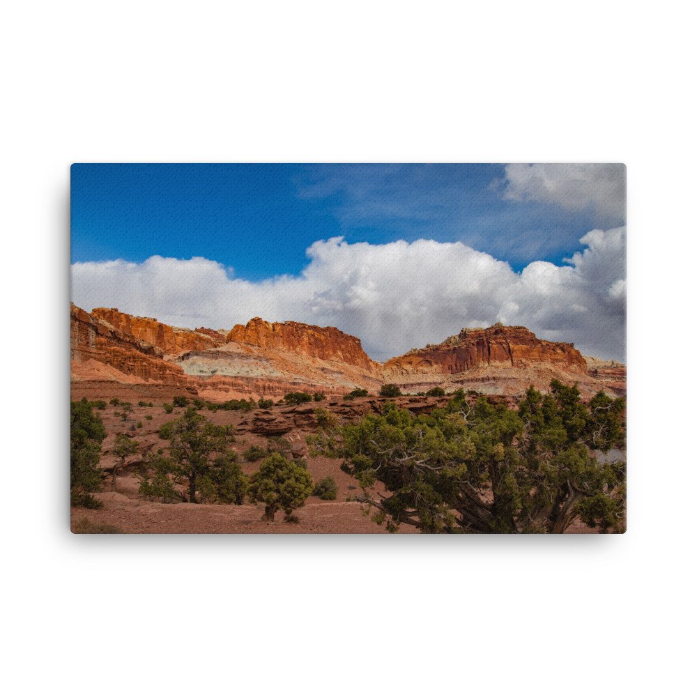 canvas-(in)-24x36-wall-6397b8d15d1ab.jpg