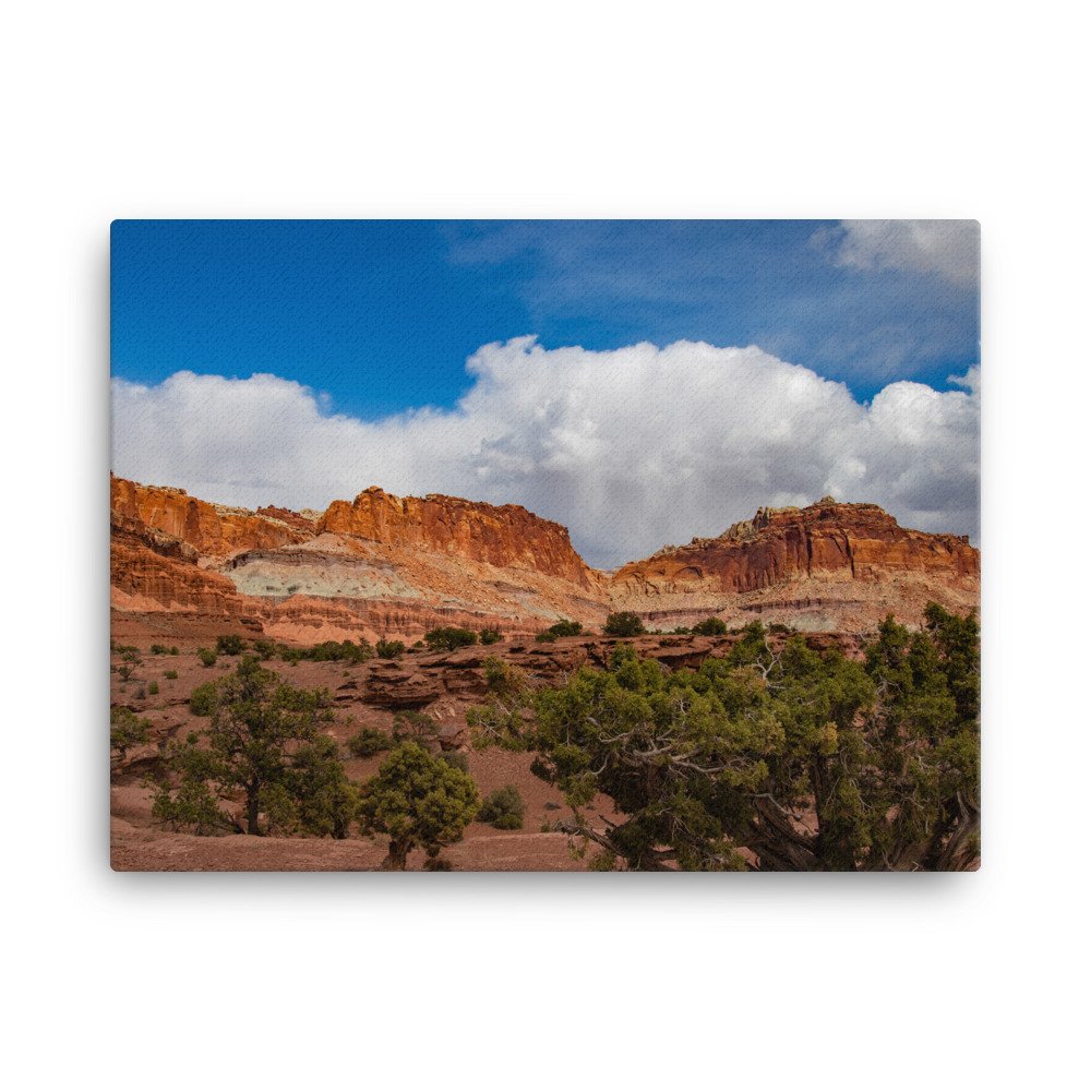 canvas-(in)-18x24-wall-6397b8d15e76d.jpg
