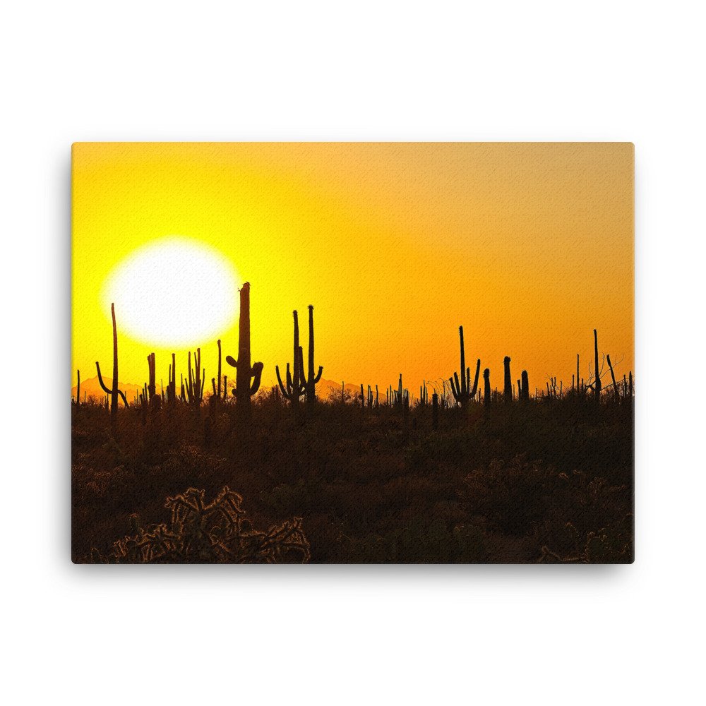 canvas-(in)-18x24-wall-6397bb84d5ee2.jpg