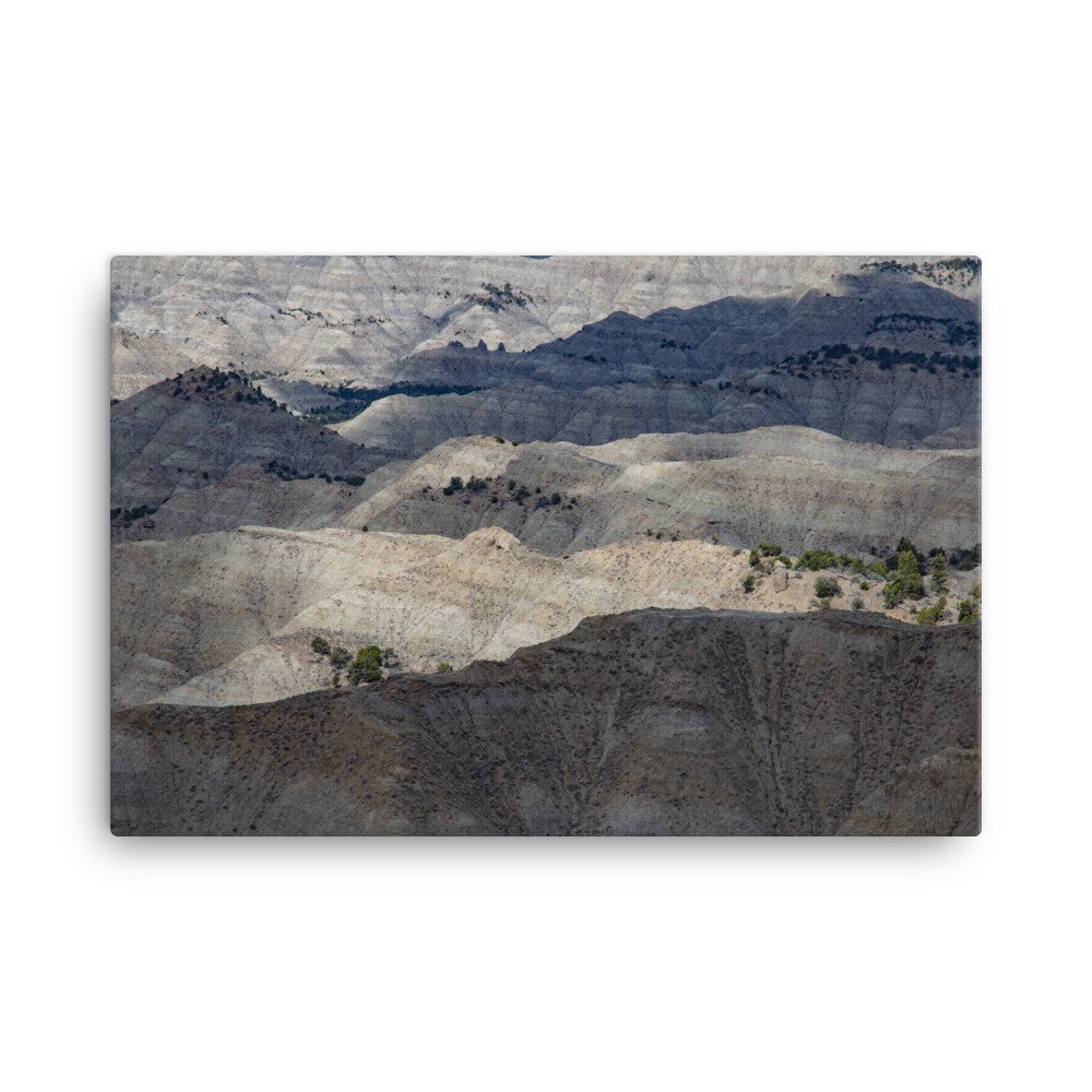 canvas-(in)-24x36-wall-6397c76f59312.jpg
