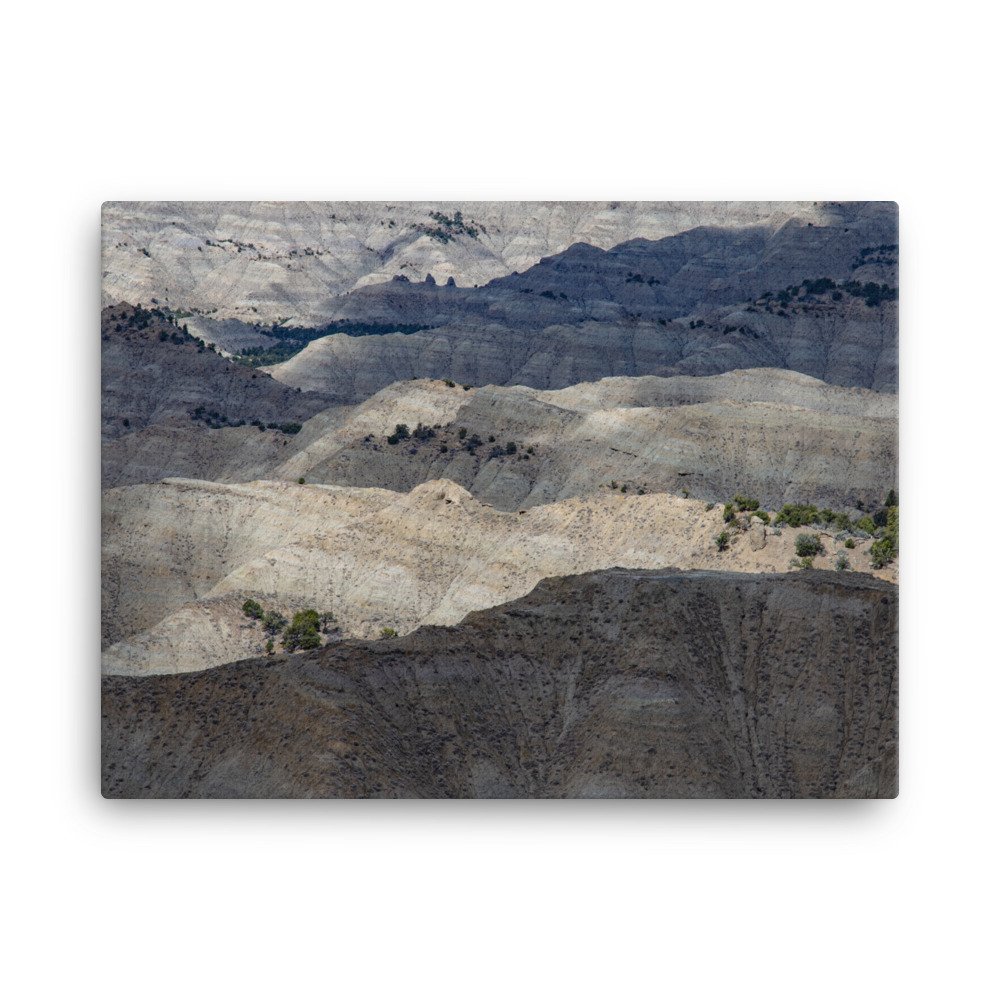 canvas-(in)-18x24-wall-6397c76f5a202.jpg