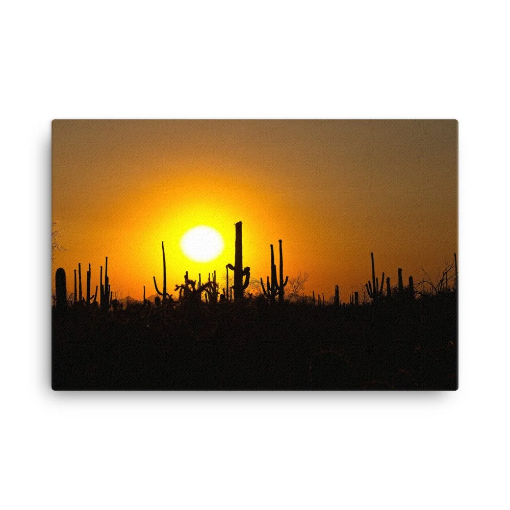 canvas-(in)-24x36-wall-6397dac356cb2.jpg