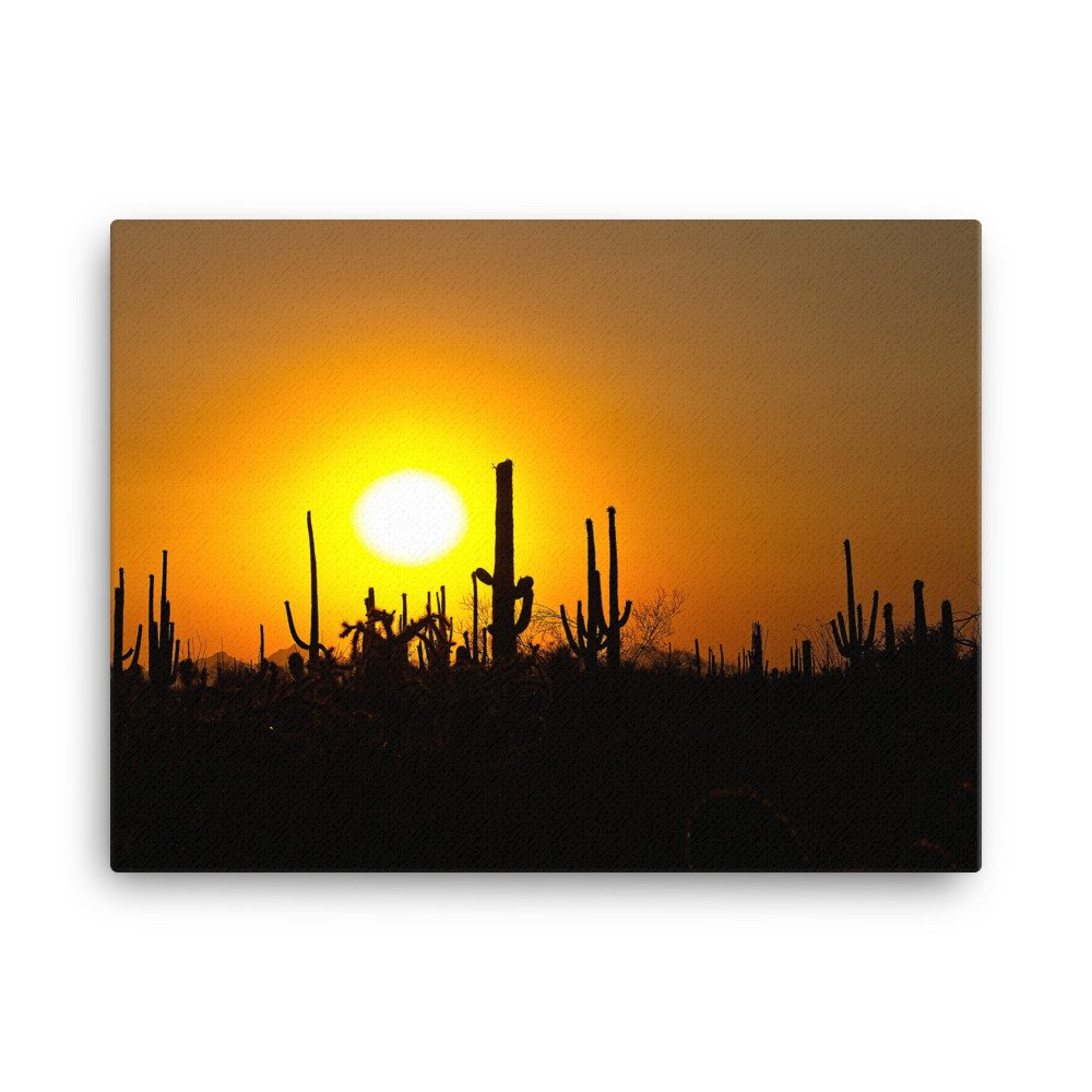 canvas-(in)-18x24-wall-6397dac357d2b.jpg
