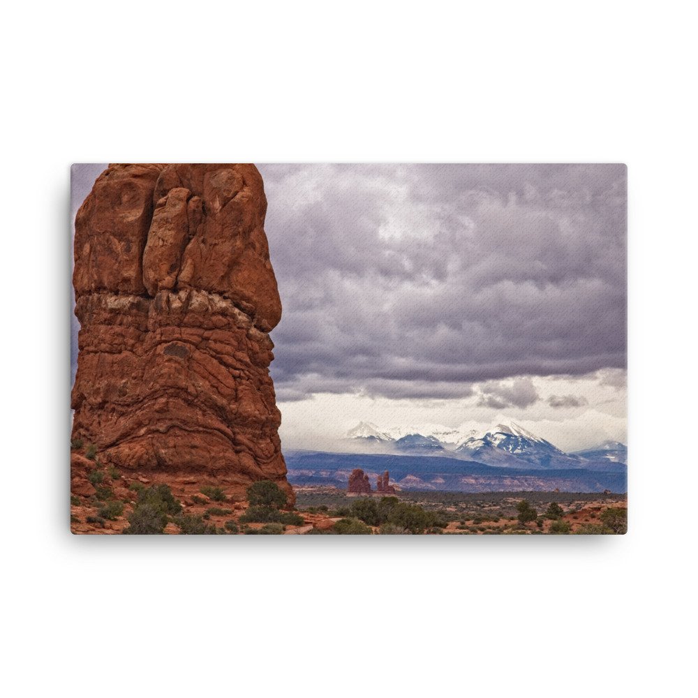 canvas-(in)-24x36-wall-6397de205332f.jpg