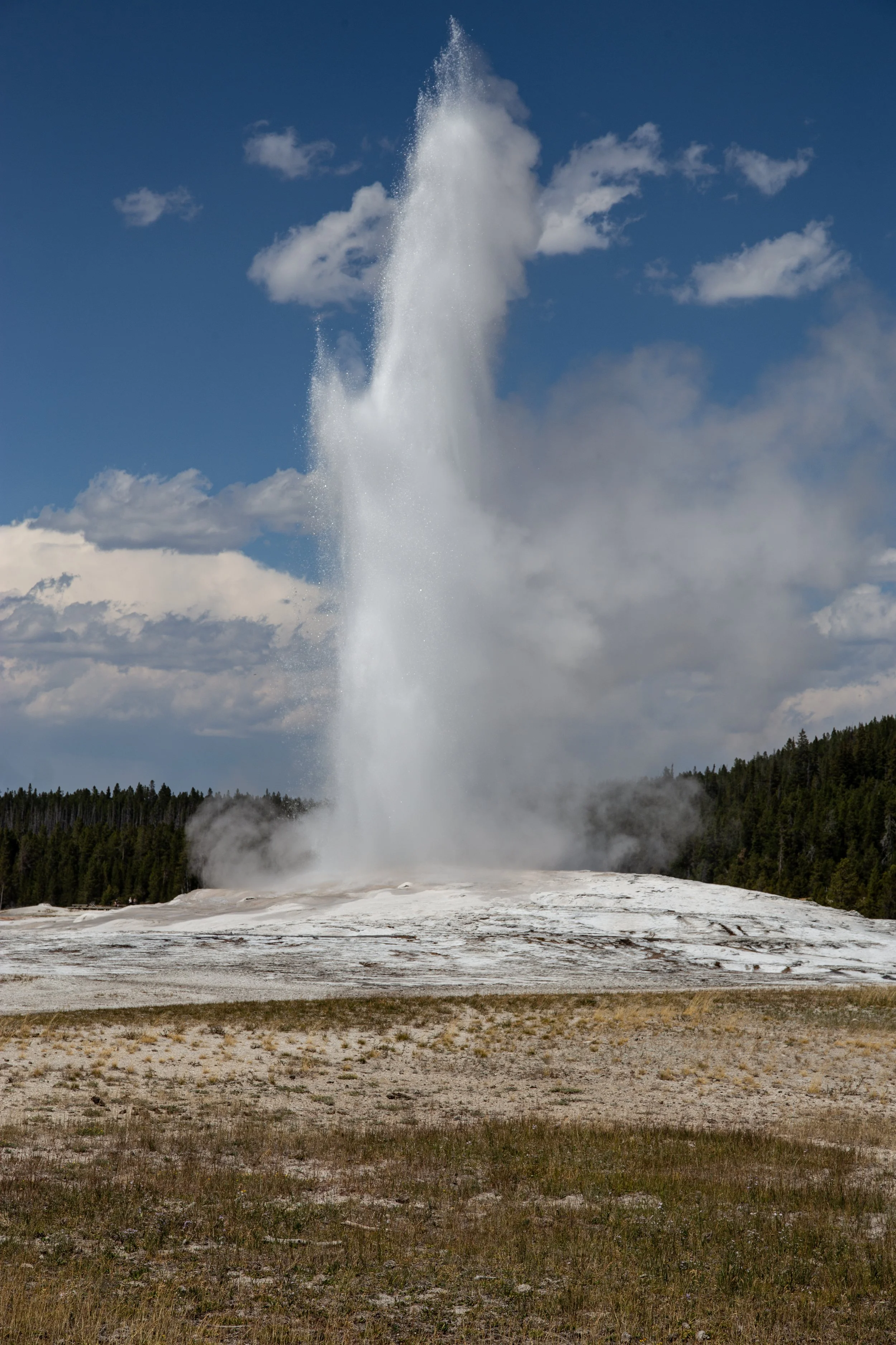 IMG_8595.jpg