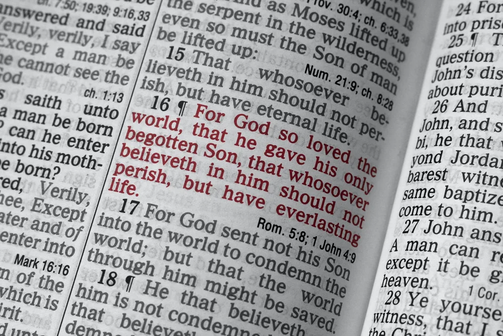 this, right here, is your purpose