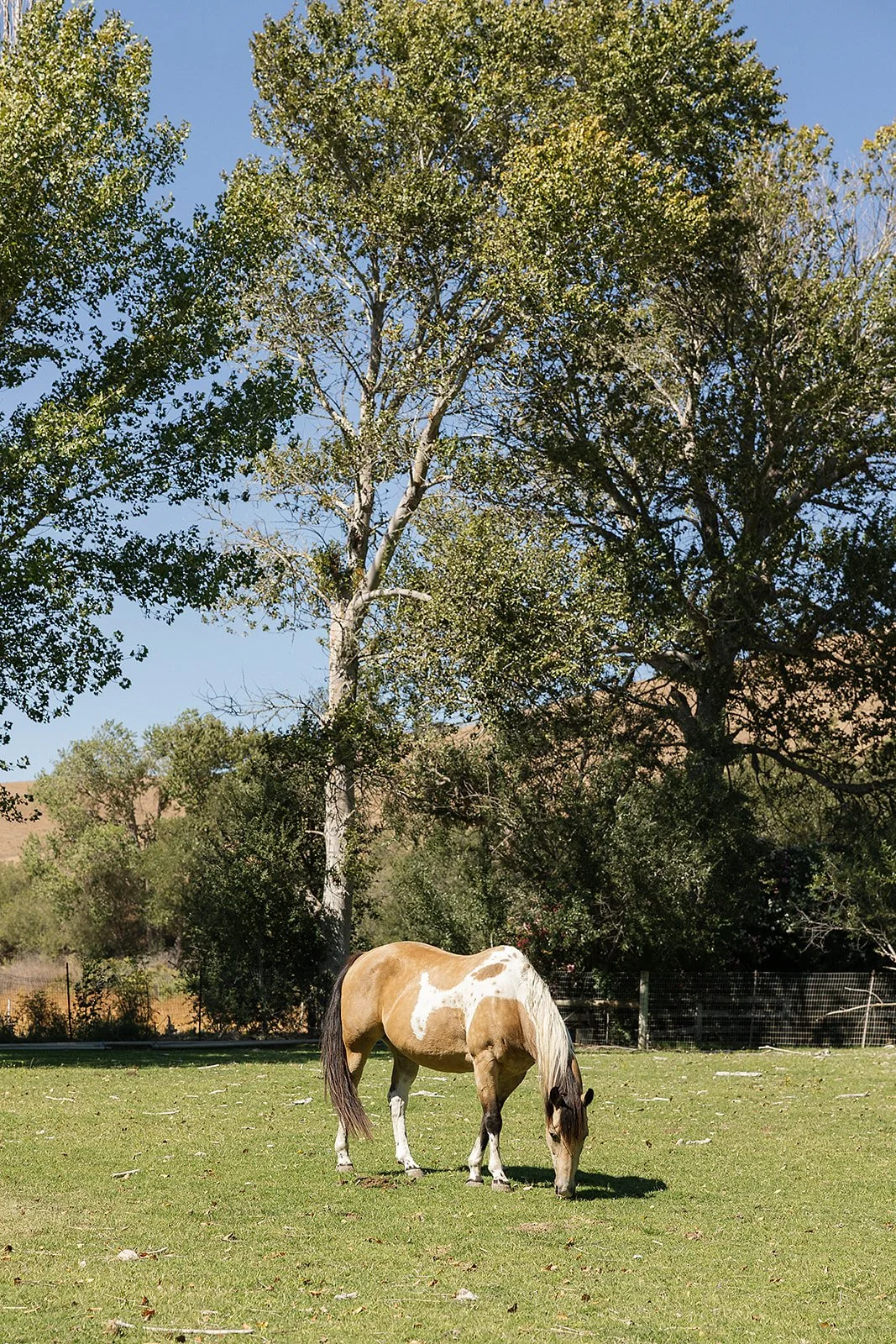 Hunter _26 Madison Wedding by Essence Of June 9-6-2025 97659.jpg