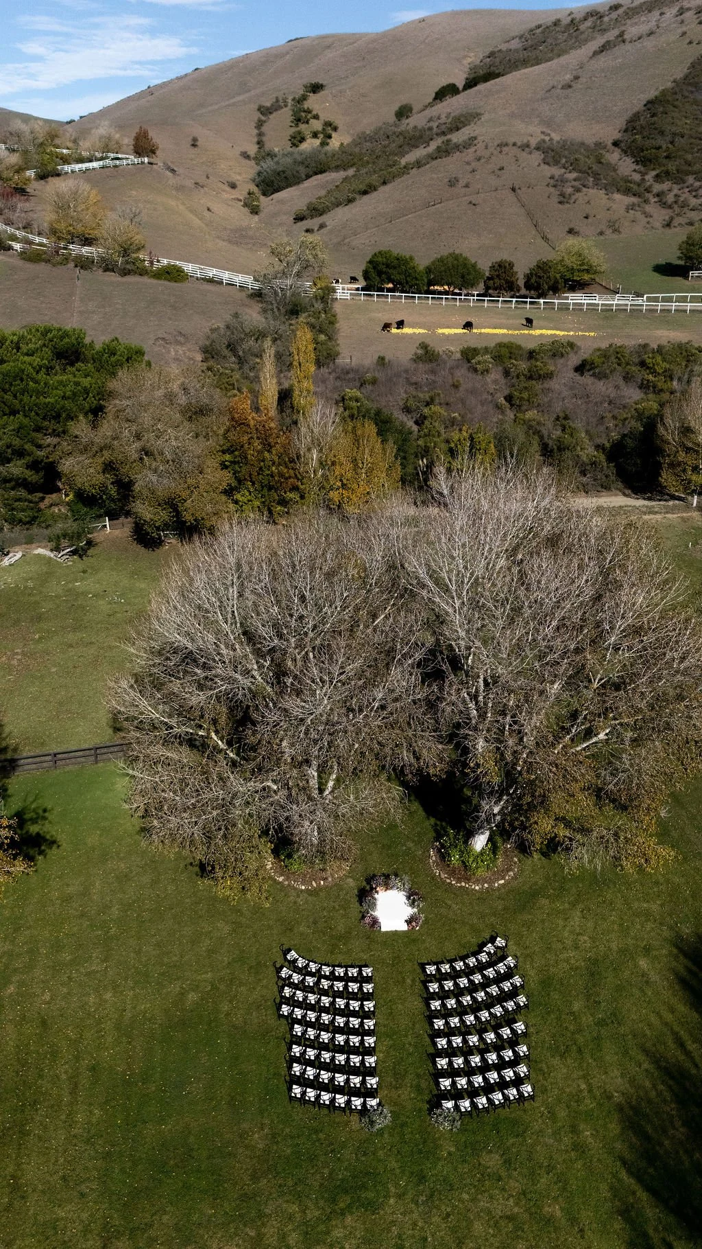 DJI_20251025151025_0014_D.jpg