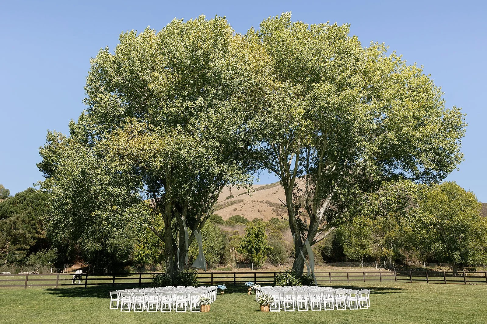 Hunter _26 Madison Wedding by Essence Of June 9-6-2025 97594.jpg