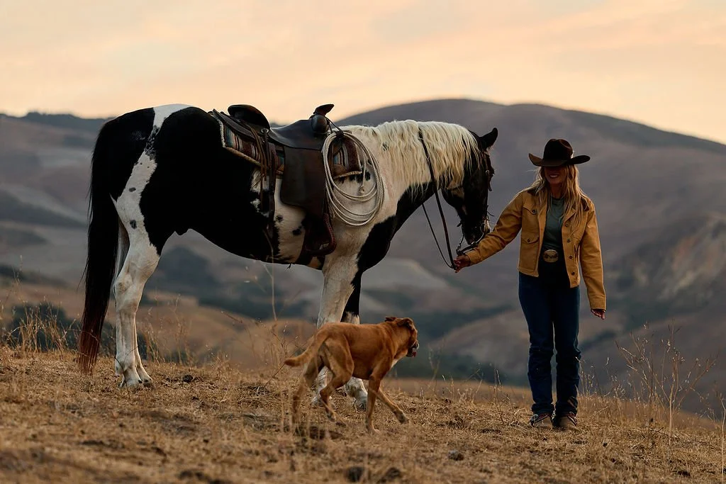 Dog Collar Commercial