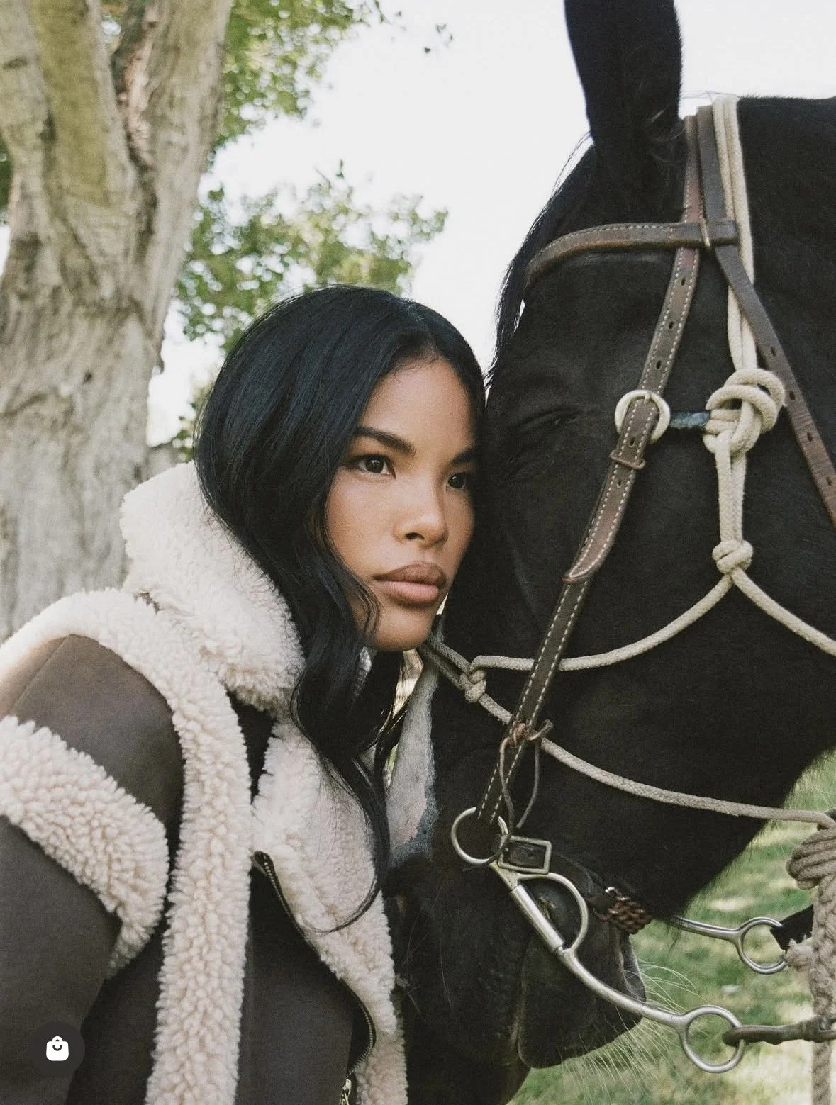 Rumored Fall Campaign