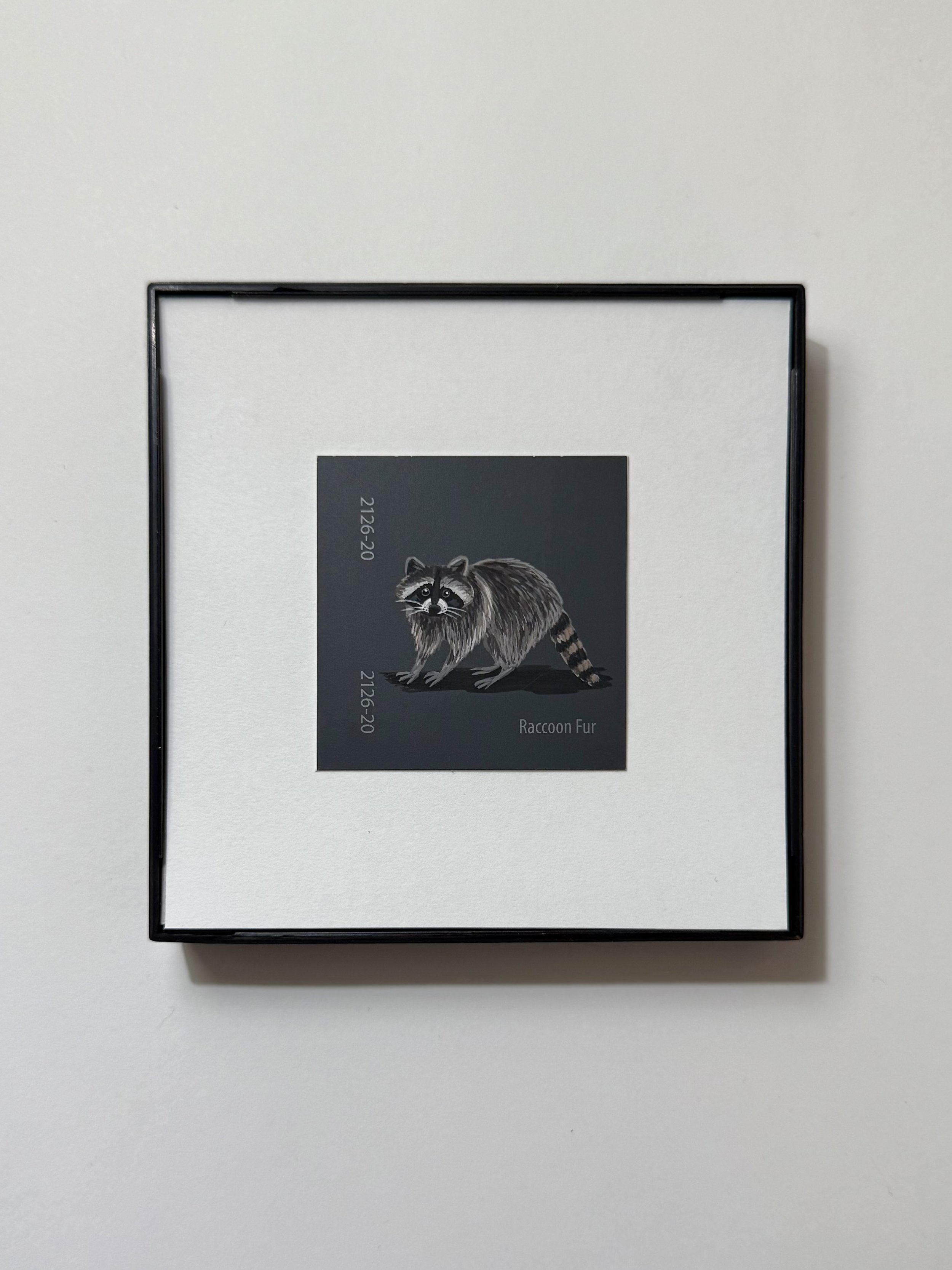 Raccoon Fur