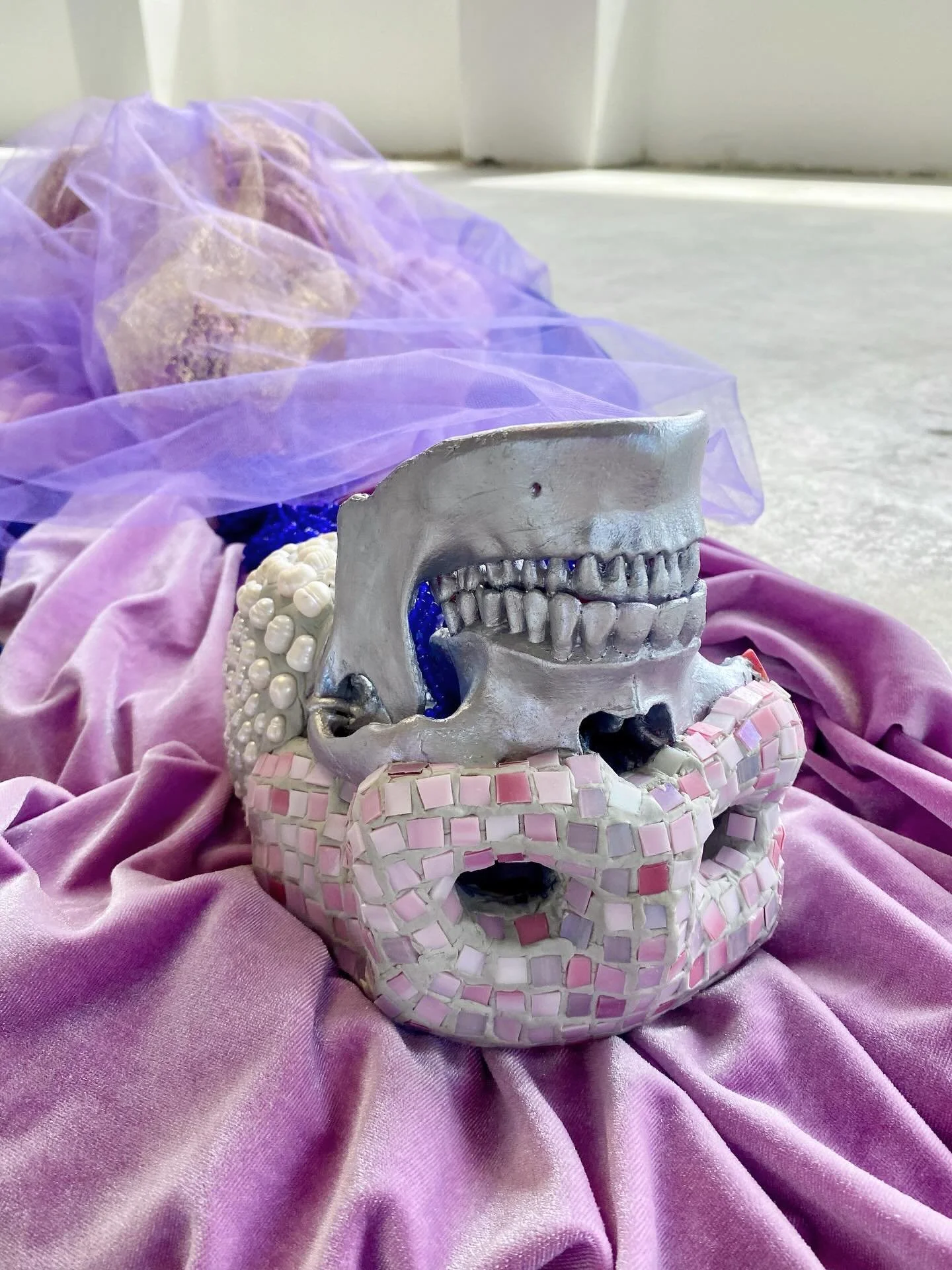 Cura Anima, II. 2026. On view this weekend @tryst.la on the second floor as part of Nomad. 
Made from medical models, velvet, tulle, glass beads, freshwater pearls, coral, polyurethane foam and acrylic, this work is part of my ongoing engagement with