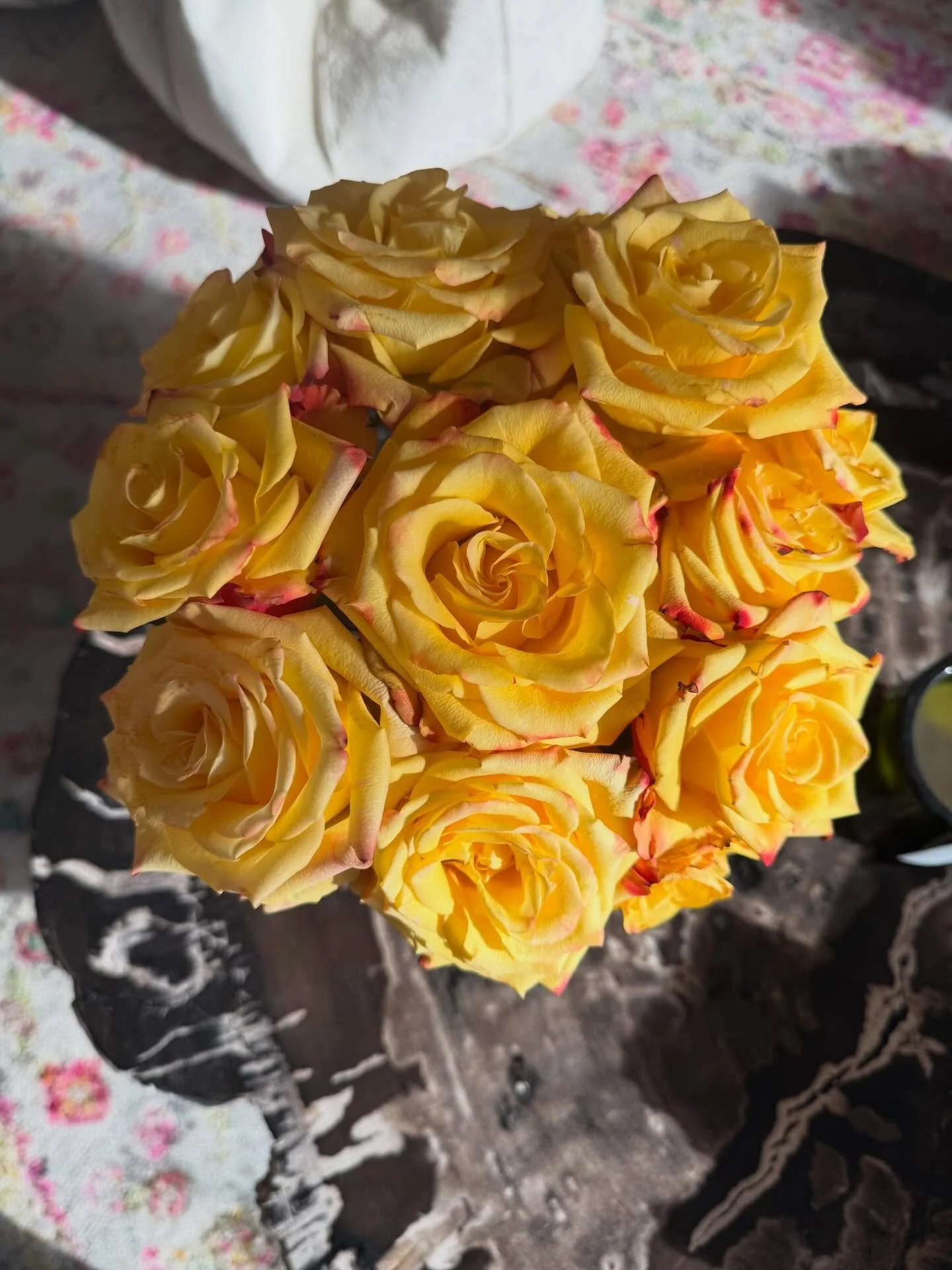 Aquarius Season&hellip; You were stubborn Saturn holding onto the final degrees of Pisces.
You were occasional sunshine bringing relief to the depth of winter.

You were inspiration, devotion, and finding little joys.

You were a deep reminder that t