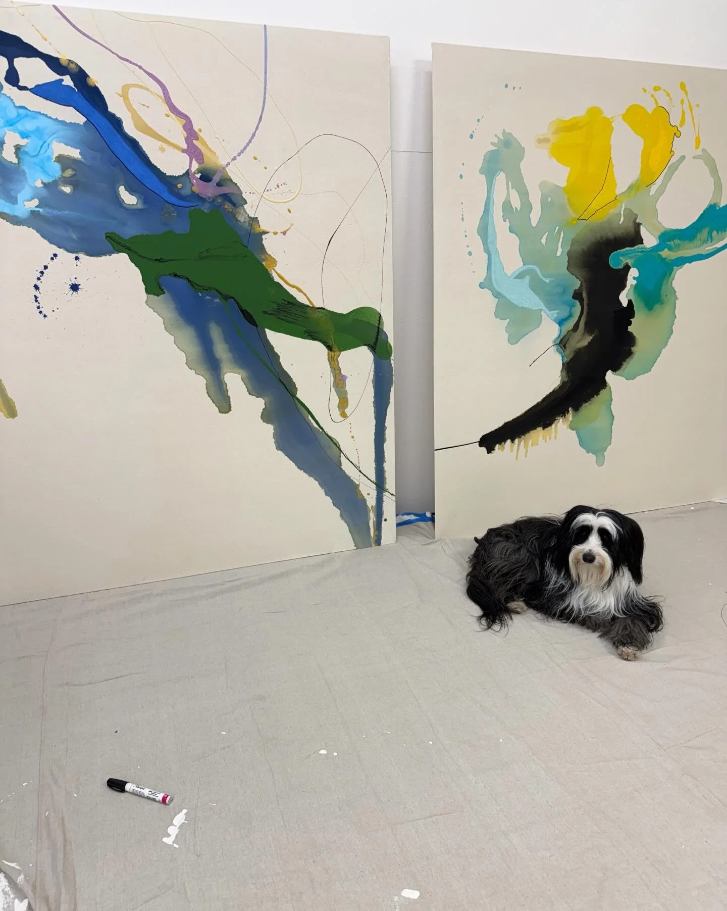 Studio Saturday with Ripple. He takes his studio assistant job very seriously. 🎨🐾

#paintingstudio #acrylicpainting #artistprocess #contemporarypainting #studiolife