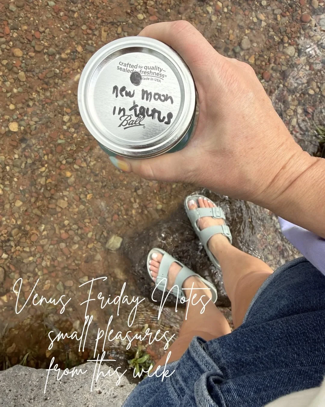 Venus Friday Notes ✨
Small pleasures from this week.

Collecting New Moon in Taurus water at the river. 🌙

BLT season has officially begun.

Nature walks with Ripple and Clover.

A tarot card that felt like a wink from the universe.

Patio cuddles.
