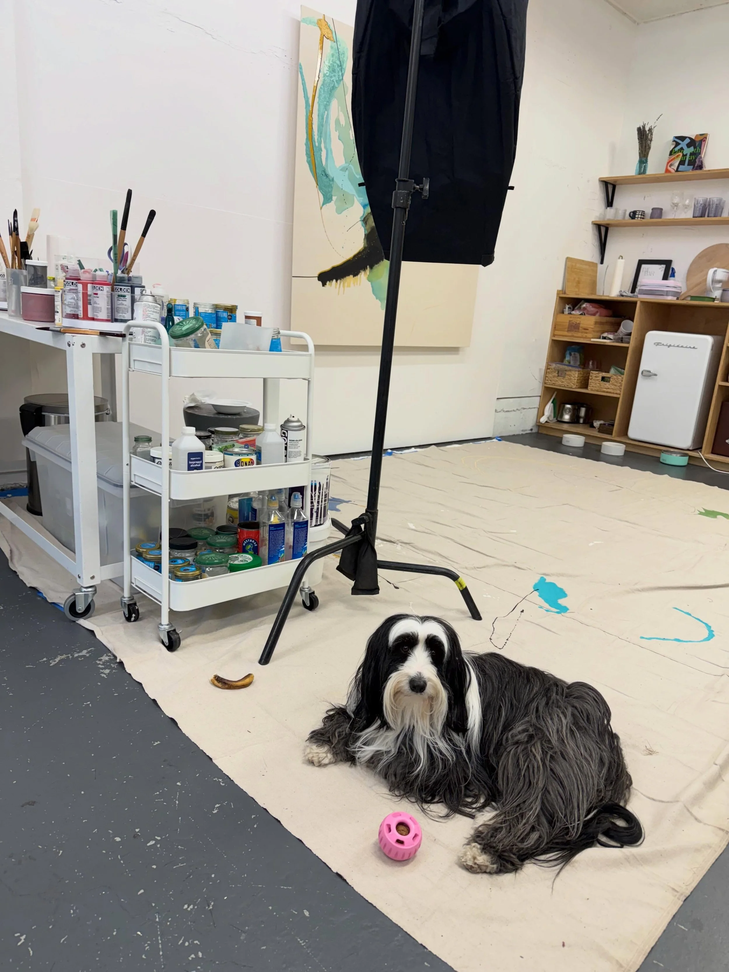 A little BTS at the studio today photographing the first two paintings of my new series. ✨

Ripple takes his job as studio manager very seriously. 🐶🎨

#artiststudio #contemporaryart #workingartist #aspenartist #amongthecolors