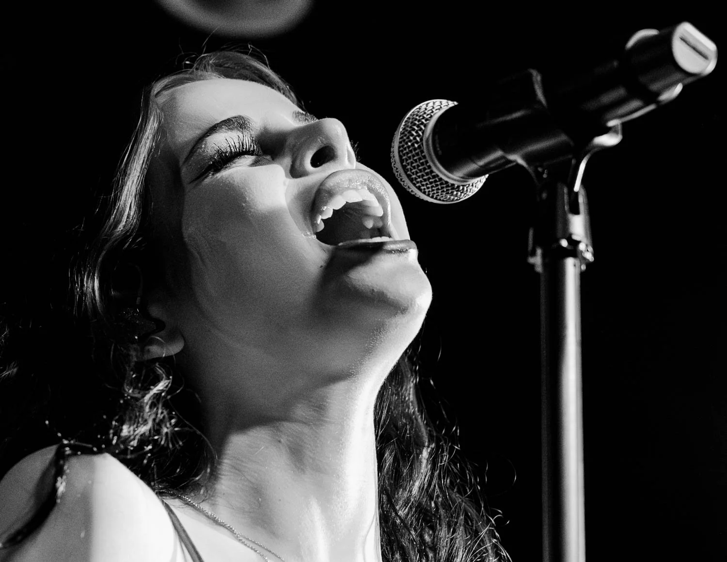 Ellise, X-Ray Arcade, 2026